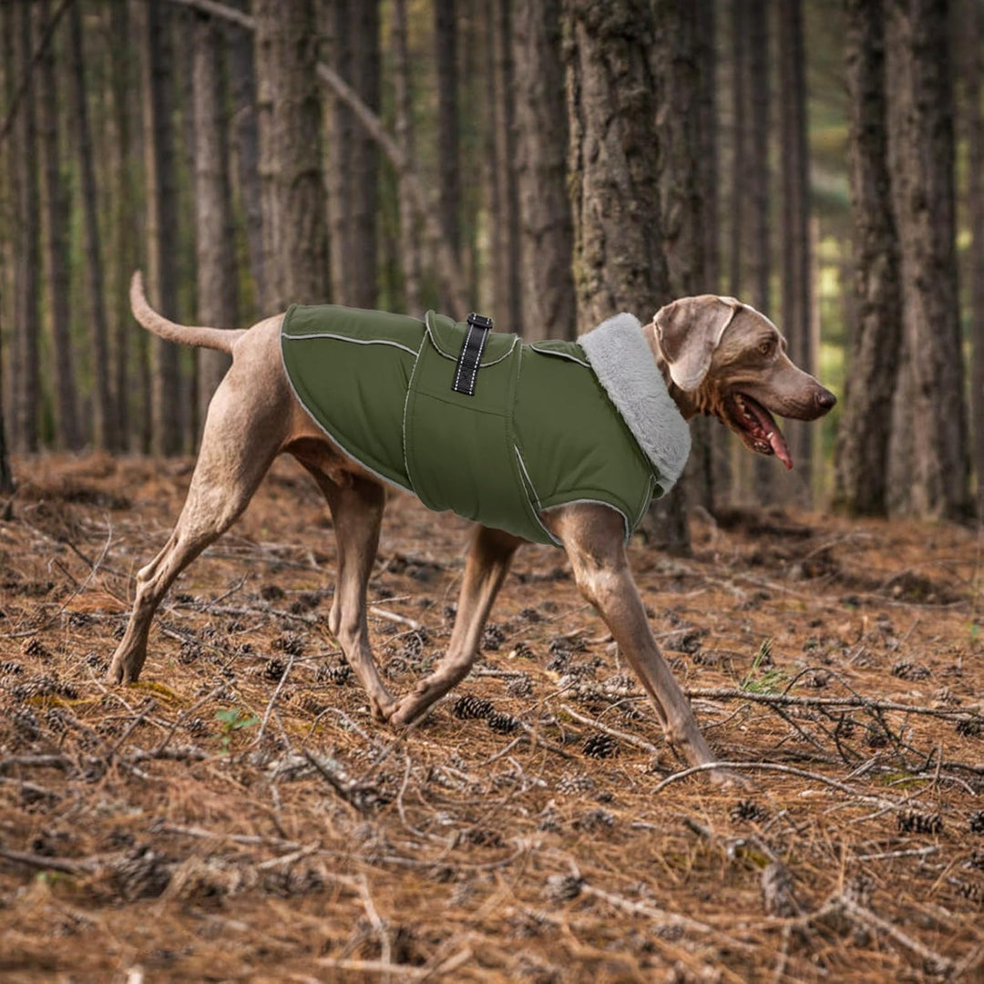 Lelepet Hundejacke Winter Warmer Hundemantel, Wasserdichter Wintermantel Fleece Hundeweste für Mitte