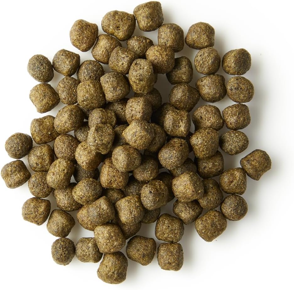 KOIPON Performance 4 kg Koifutter Sommer für Farbe, schwimmend, 6% Spirulina, Teichfutter 6 mm Pelle