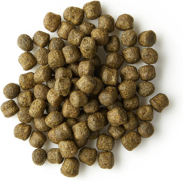 KOIPON Performance 4 kg Koifutter Sommer für Farbe, schwimmend, 6% Spirulina, Teichfutter 6 mm Pelle
