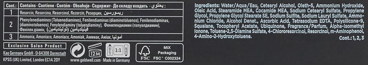 Goldwell Topchic Hair Color 6NN, 60 ml 6NN 60 ml (1er Pack), 6NN 60 ml (1er Pack)