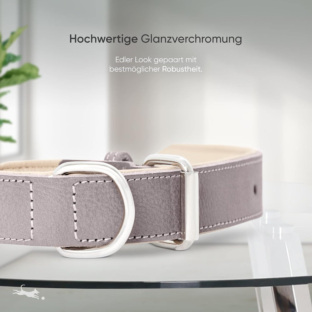 FREUDENTIER Hundehalsband Leder - weich gepolstert - Handmade in EU | Leder aus LWG Gold zertifizier
