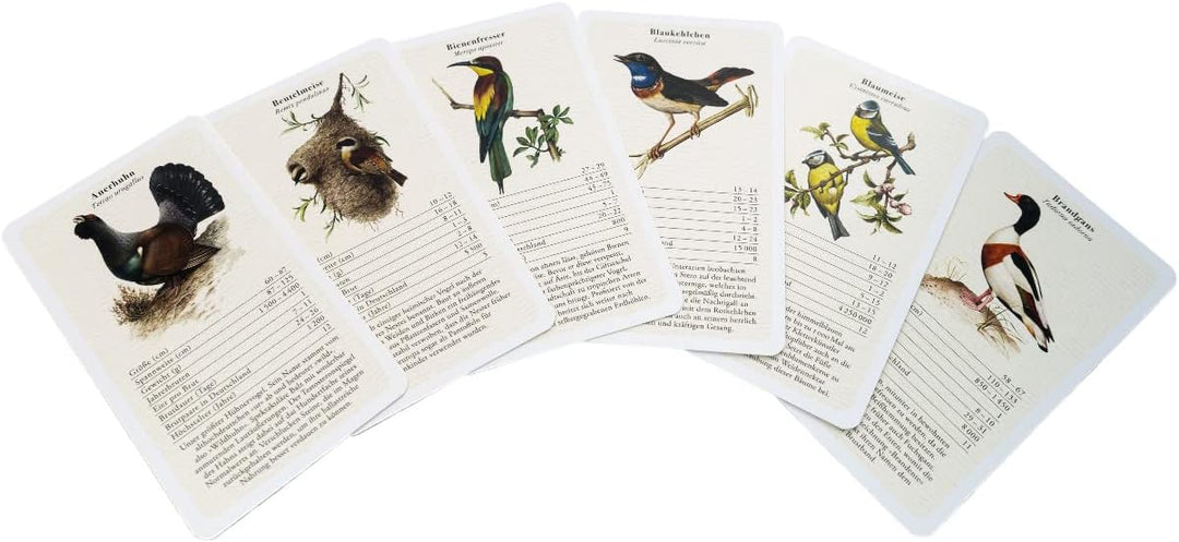 Vogelquartett "Fliegende Edelsteine" - Kartenspiel in Tarokartengrösse - 56 Spielkarten mit QR-Codes