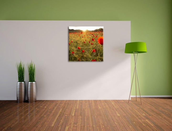 Pixxprint Mohnfeld bei Sonnenuntergang als Leinwandbild Quadratisch/Grösse: 70x70 / Wandbild/Kunstdr