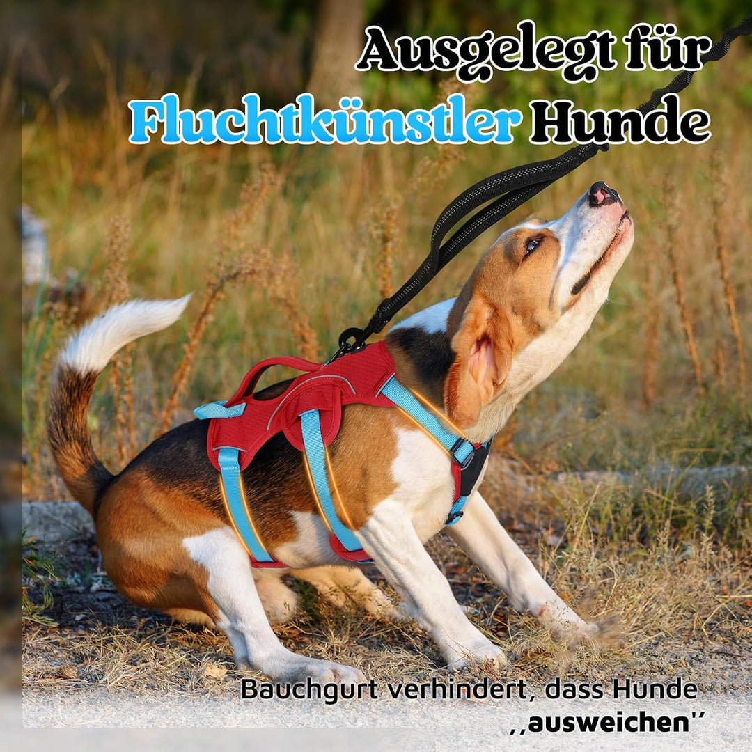 rabbitgoo Hundegeschirr Mittelgrosse Hunde，Sicherheitsgeschirr Hund | Sicherer Hebegriff, einfache K