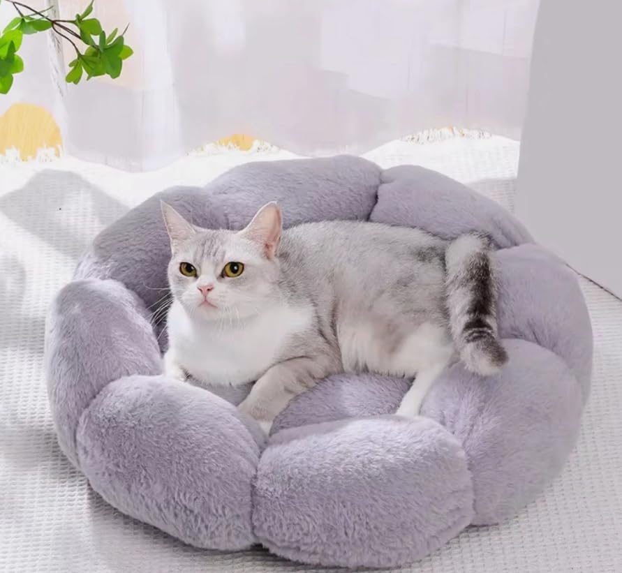 Hundebett Katzenbett 50 cm Waschbar flauschig orthopädische Hundebetten grosse und kleine Hunde Katz