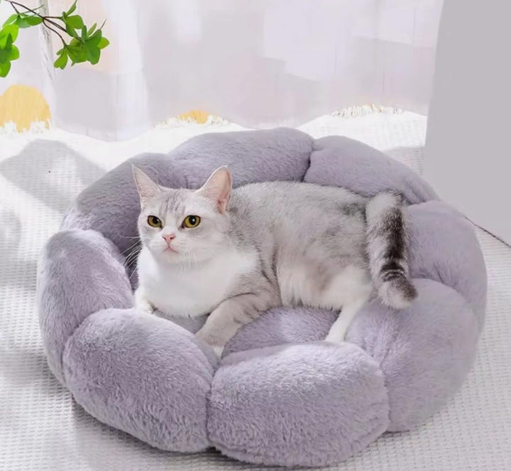 Hundebett Katzenbett 50 cm Waschbar flauschig orthopädische Hundebetten grosse und kleine Hunde Katz
