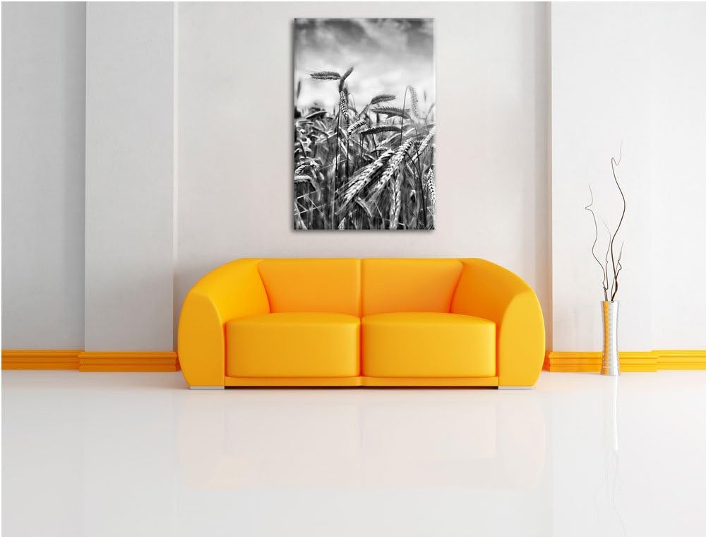 Pixxprint Monocrome, Getreide im Sonnenlicht als Leinwandbild | Grösse: 100x70 | Wandbild| Kunstdruc