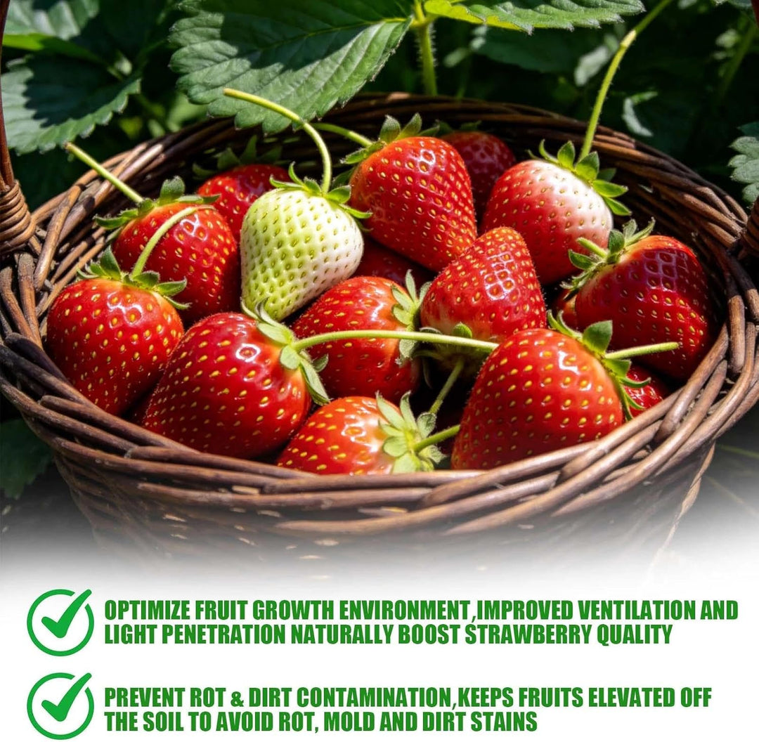 20 Stück Erdbeerstützen Ständer, Erdbeeren Schutz, Erdbeerreifer Erdbeerregal Abnehmbares Pflanzenre