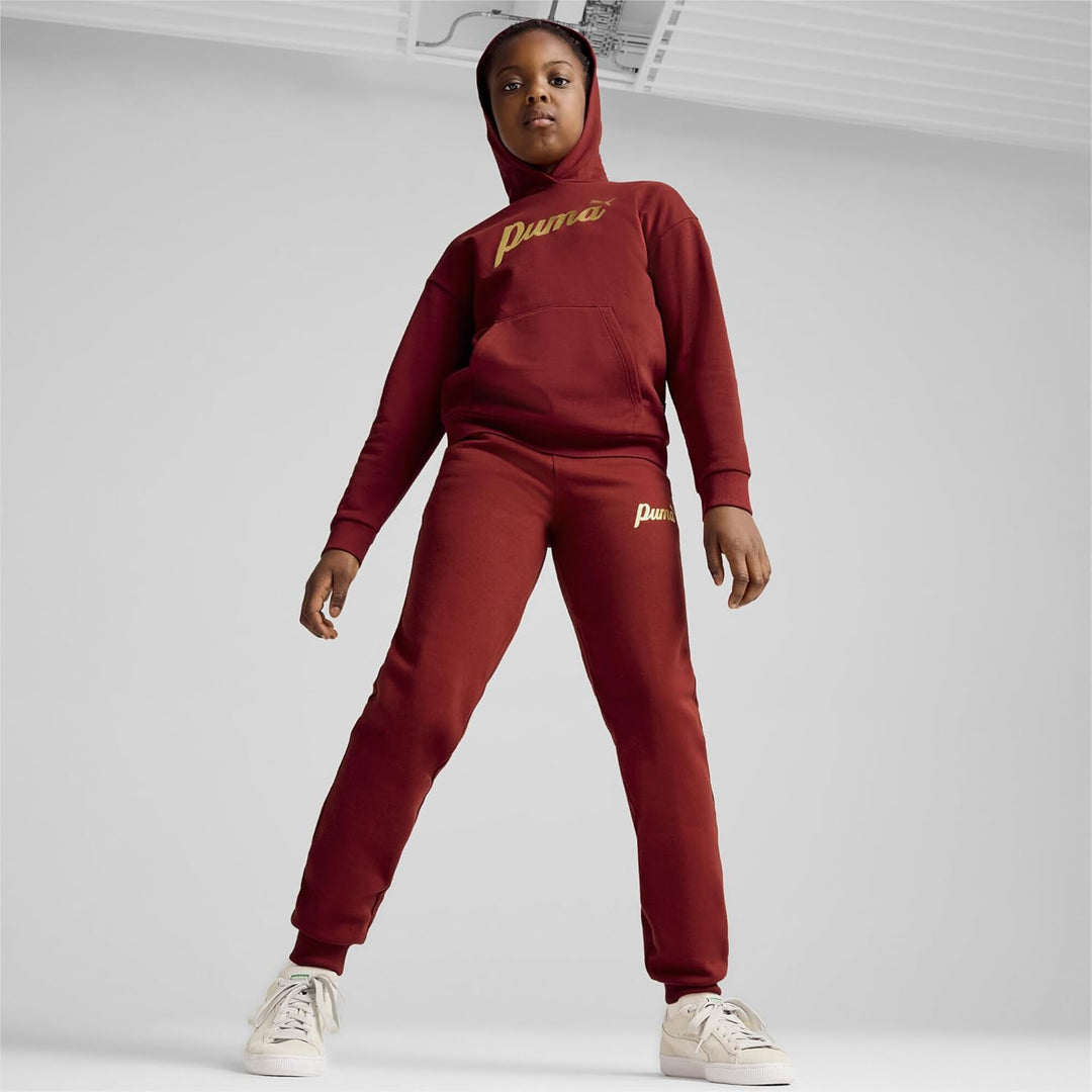 PUMA Mädchen ESS+ Script Metallic Hoodie FL Sweat 176 Intensive Rot-goldfolie, 176 Intensive Rot-gol