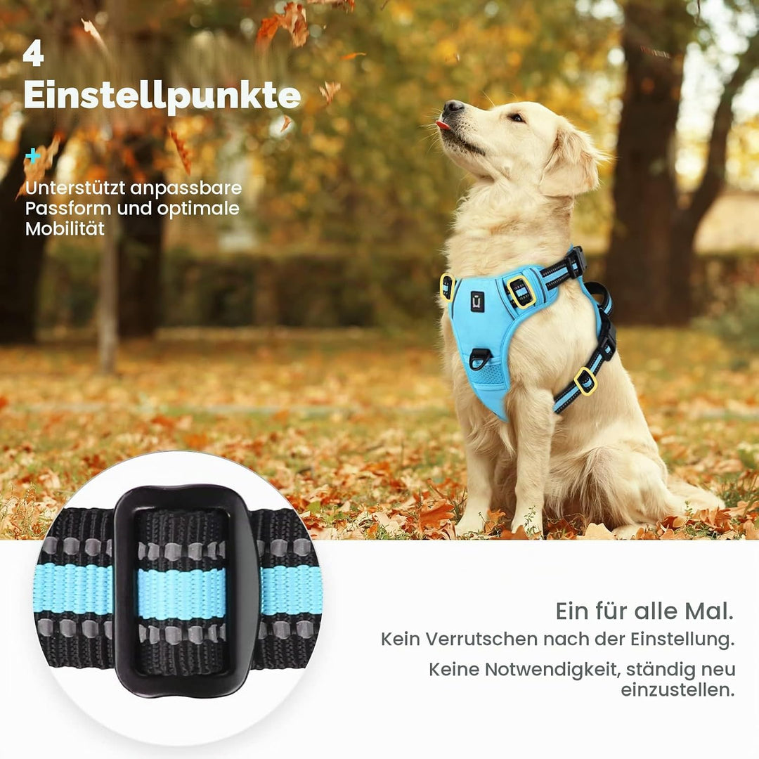 Hundegeschirr No-Pull für Kleine, Grosse und Mittelgrosse Hunde - Weich, Atmungsaktiv, Einstellbar,