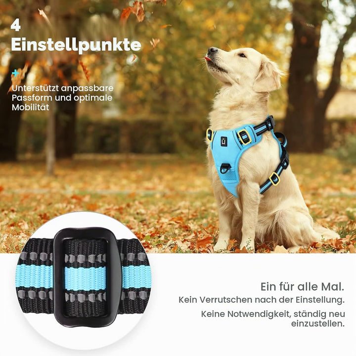 Hundegeschirr No-Pull für Kleine, Grosse und Mittelgrosse Hunde - Weich, Atmungsaktiv, Einstellbar,