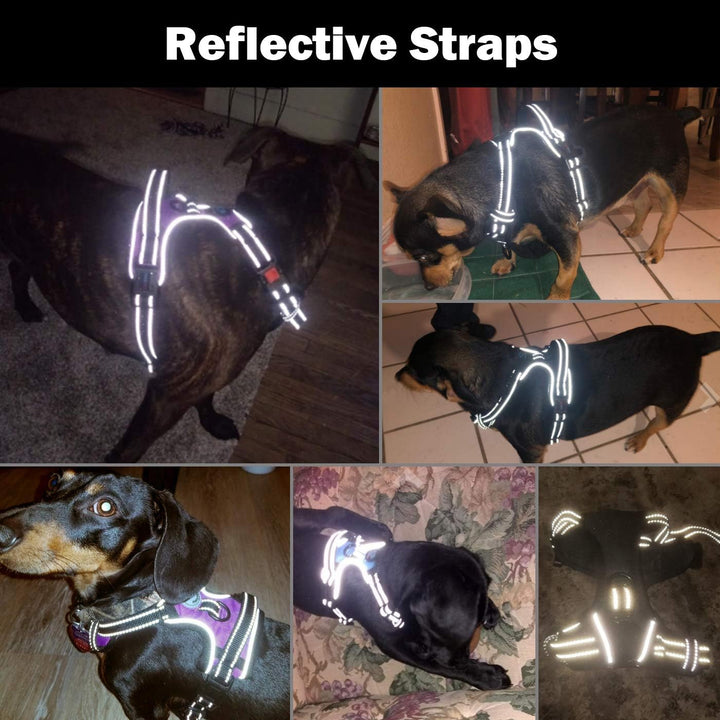 Phoepet Anti-Zieh-Hundegeschirr, reflektierend, verstellbar, mit Trainingsgriff, Namensausweisfach,