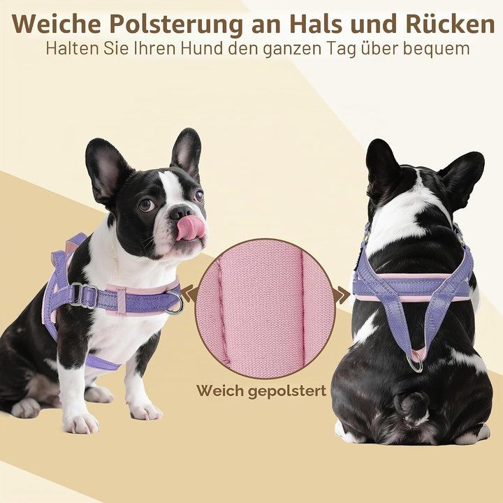AIITLE Verbessertes, verstellbares Hundegeschirr für Hals und Brust, kein Ziehen, Haustiergeschirr m