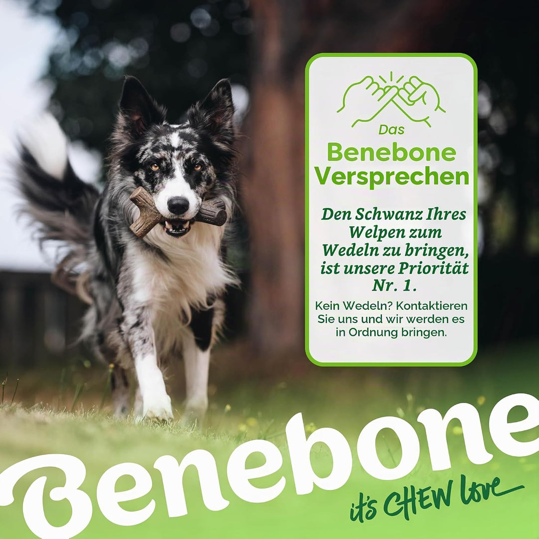 Benebone 2-Pack Indestructible Maplestick/Zaggler for Aggressive Chewers, Long Lasting Tough Boredom
