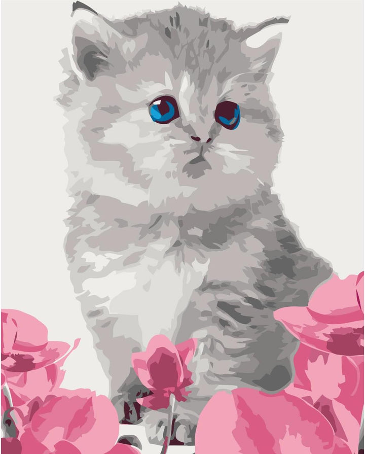 murando - Malen nach Zahlen Katze 40x60 cm Malset mit Holzrahmen auf Leinwand für Erwachsene Kinder