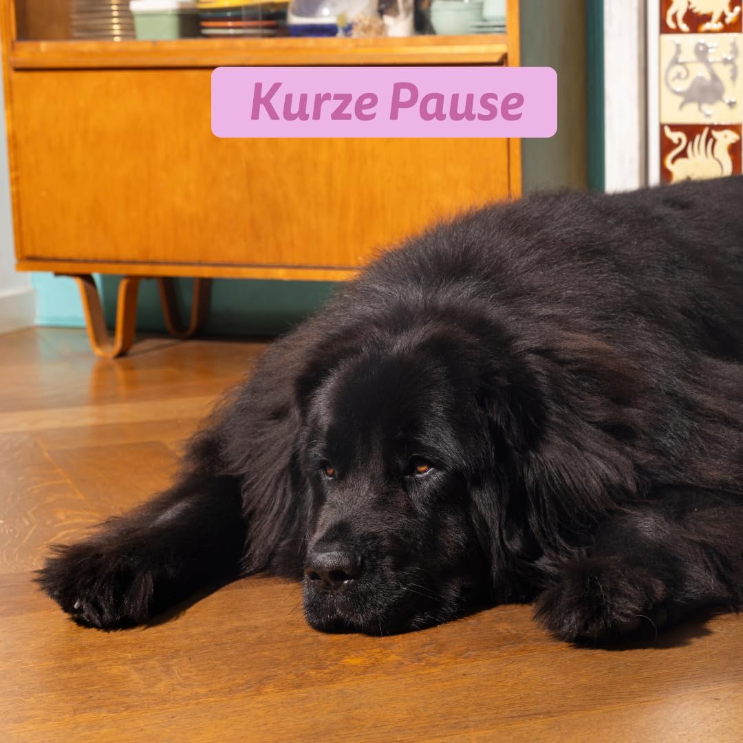 Edgard & Cooper natürliches Premium Trockenfutter für Adult Hunde - getreidefrei und proteinreich (H