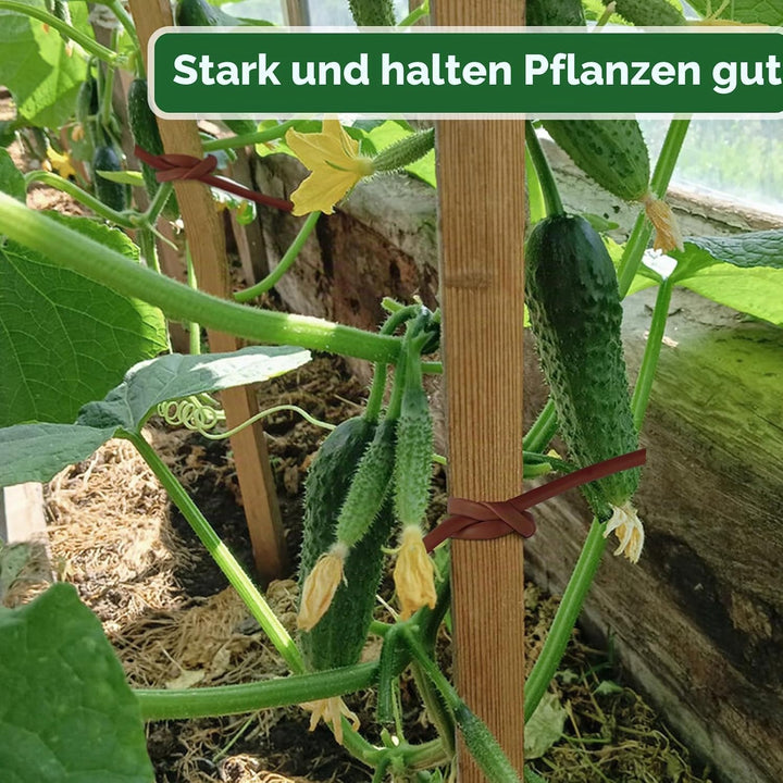 KINGLAKE Hohlschnur, Bindeschlauch 3mm x 100m, Pflanzenschnur Gartenschnur Wetterfest Reissfest, Pfl