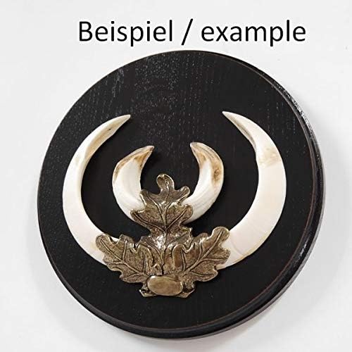 10 Stück Keilerschild Keilerbrett Gewaffbrett Trophäenschild rund dunkel AF 19 cm
