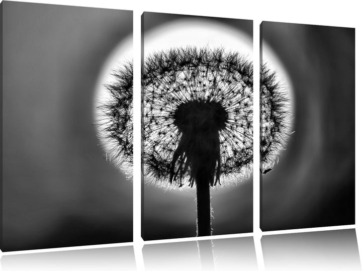 Pixxprint Pusteblume als Leinwandbild/Grösse: 3 Teilig (120x80) cm/Wandbild/Kunstdruck/fertig bespan