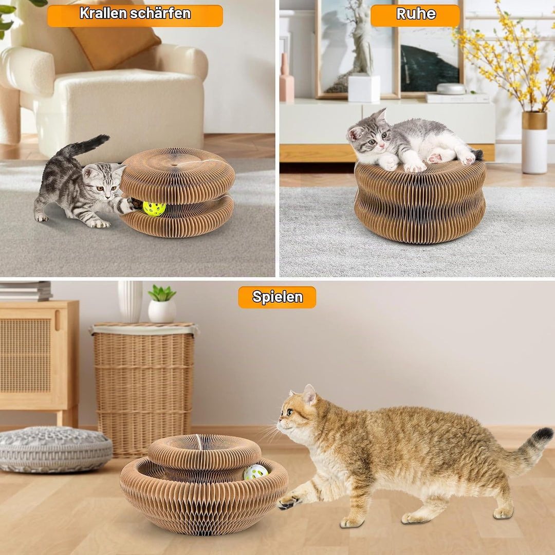 Kratzbrett Katze, 2-in-1 Cat Kratzbrett mit Glöckchen, Magische Orgel Cat Scratching Board, Zusammen