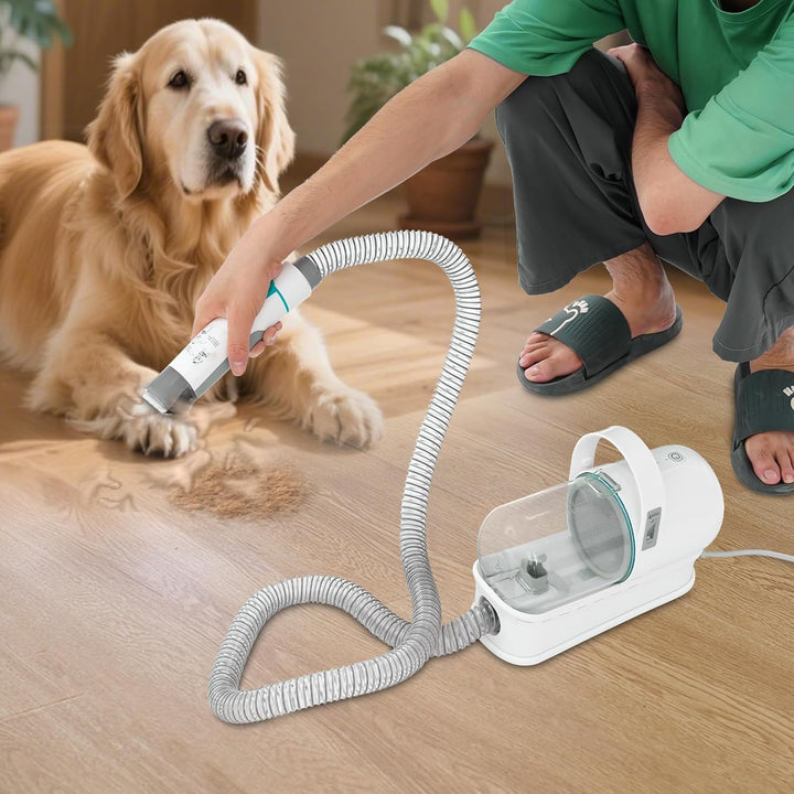 Hundeschermaschine mit Staubsauger, Hundebürste Tierhaarentferner, Profi Haustierpflegeset, Leise Sc