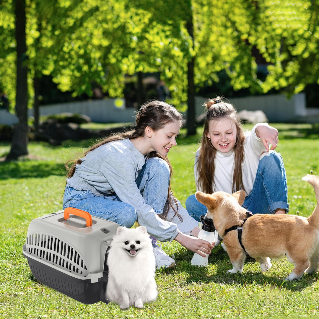 Aufun Hundetransportbox aus Kunststoff mit Metallgitter 48 x 32 x 32cm, Transportbox für kleine Hund