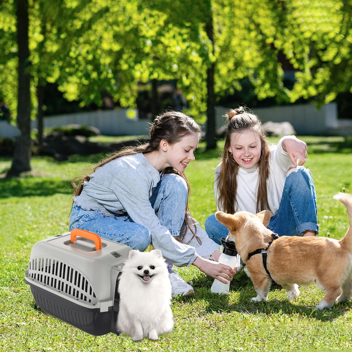 Aufun Hundetransportbox aus Kunststoff mit Metallgitter 48 x 32 x 32cm, Transportbox für kleine Hund