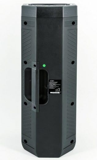 REFLEXION PS09BT DJ Karaoke PA-Anlage, mobil mit Akku und Lichteffekten (Bluetooth, True Wireless St