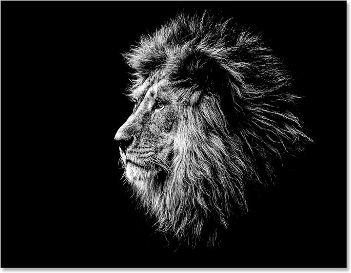 wandmotiv24 Leinwandbild Schwarz-Weiss, 80x60cm, Querformat, Löwe, Deko, Bilder auf Leinwand, Wandde