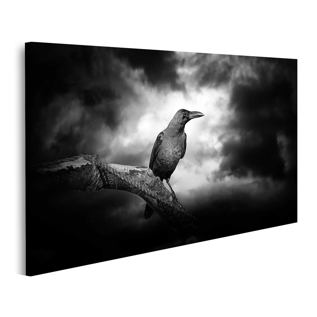 islandburner Bild auf Leinwand Rabe Auf Einem Zweig Bilder Wandbilder Poster Leinwand 100x57cm, Lein