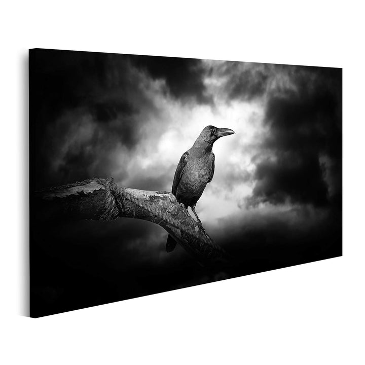 islandburner Bild auf Leinwand Rabe Auf Einem Zweig Bilder Wandbilder Poster Leinwand 100x57cm, Lein