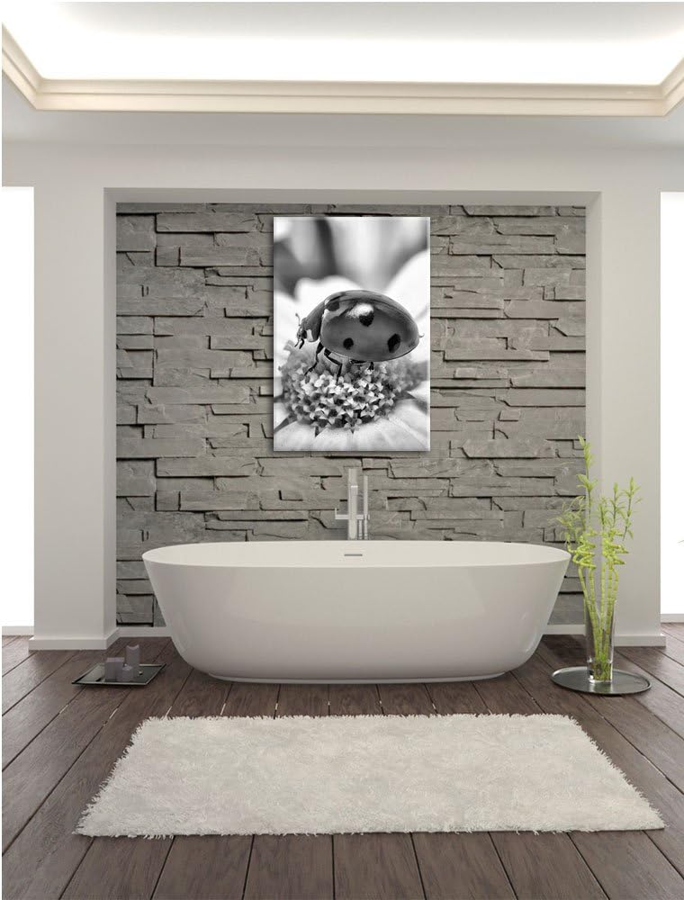 Pixxprint Marienkäfer auf Gänseblümchen als Leinwandbild/Grösse: 100x70 cm/Wandbild/Kunstdruck/ferti