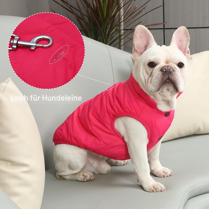 JoyDaog 2-lagige mit Fleece gefütterte Hundejacke, sehr warm für Winter und kaltes Wetter, extraweic