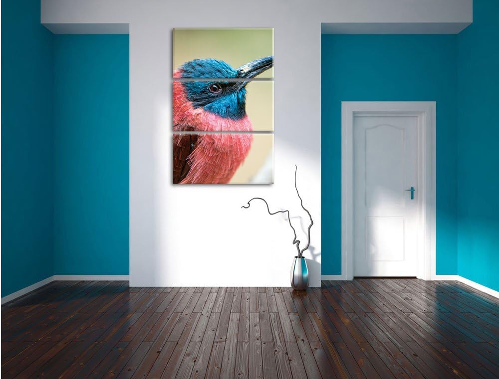 Pixxprint Kleiner tropischer Vogel als Leinwandbild/Grösse: 3 Teilig (120x80) cm/Wandbild/Kunstdruck