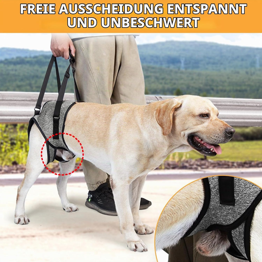 Tragehilfe Hund -Tragbares Hundegeschirr für die Hinterbeine,Verstellbares Hunde Aufzugsgeschirr, Hu