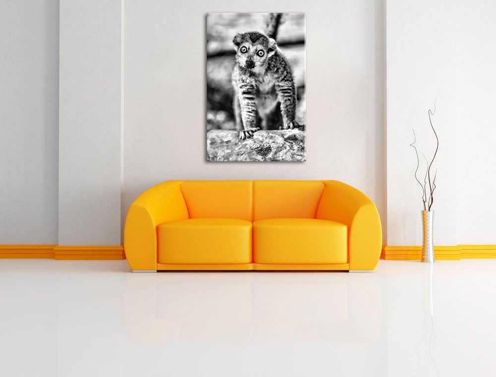 Monocrome, kleiner Sifaka, Format: 100x70 auf Leinwand, XXL riesige Bilder fertig gerahmt mit Keilra