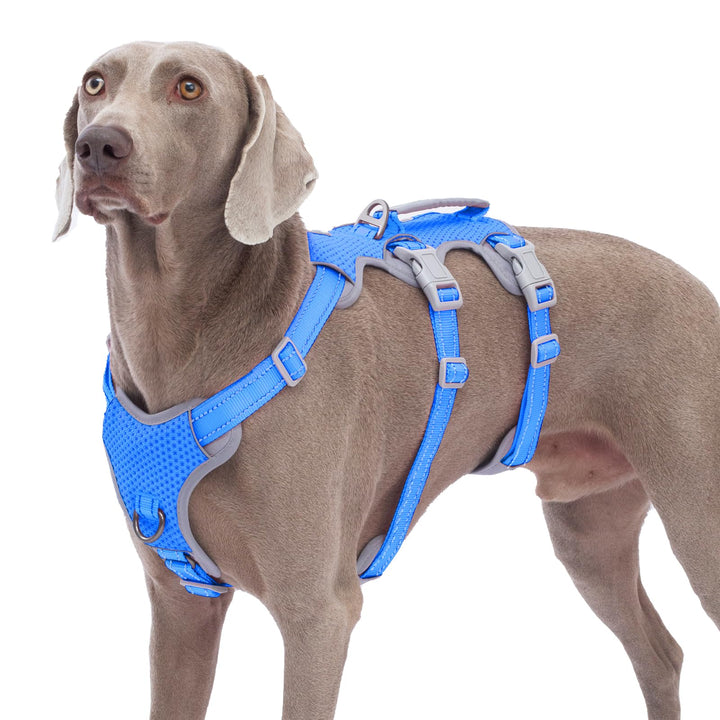 Huntboo Sicherheitsgeschirr Hund Ausbruchsicher, Panikgeschirr für Hunde, Reflektierendes Geschirr m
