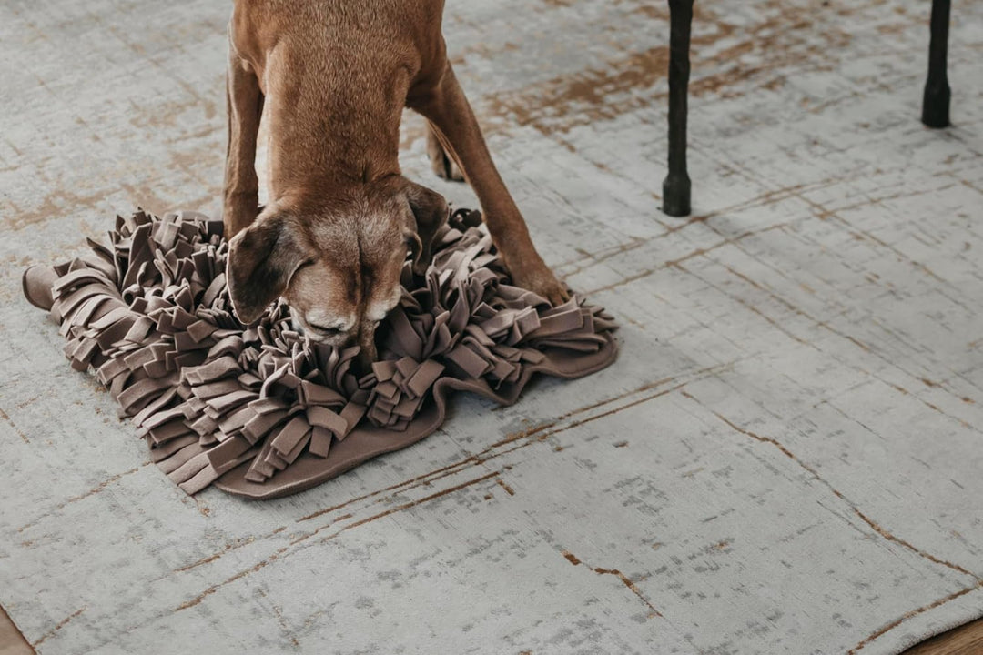 LILA LOVES IT - Schnüffelteppich für Hunde, 56 x 56 cm – Premium Hundespielzeug für eine hundgerecht