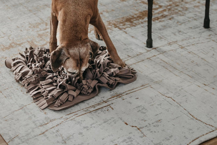 LILA LOVES IT - Schnüffelteppich für Hunde, 56 x 56 cm – Premium Hundespielzeug für eine hundgerecht