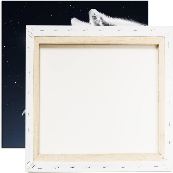 einsamer stolzer Wolf Format: 60x60 als Leinwandbild, Motiv fertig gerahmt auf Echtholzrahmen, Hochw