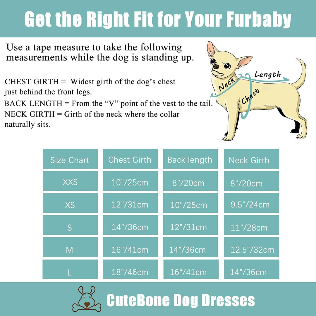 CuteBone Little Miss Sassy Pants Hund Leopardenmuster Kleid Samt für kleine Hunde Mädchen Welpen Kle