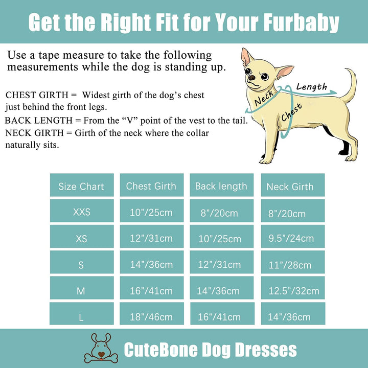 CuteBone Little Miss Sassy Pants Hund Leopardenmuster Kleid Samt für kleine Hunde Mädchen Welpen Kle
