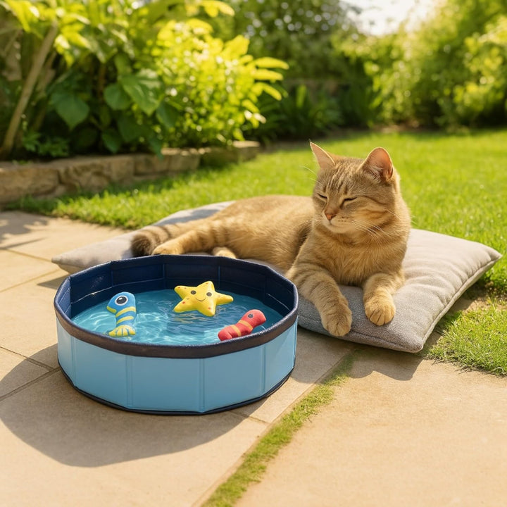 Swimmingpool Schwimmbecken für Katzen Katzenpool Katzenplanschbecken Katzenbadewanne, Faltbarer -Kat