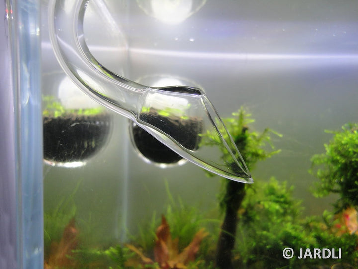 Glas Lily Pipe Mini Einlauf & Violet Auslauf - Nano Pflanzen Tank Aquascaping