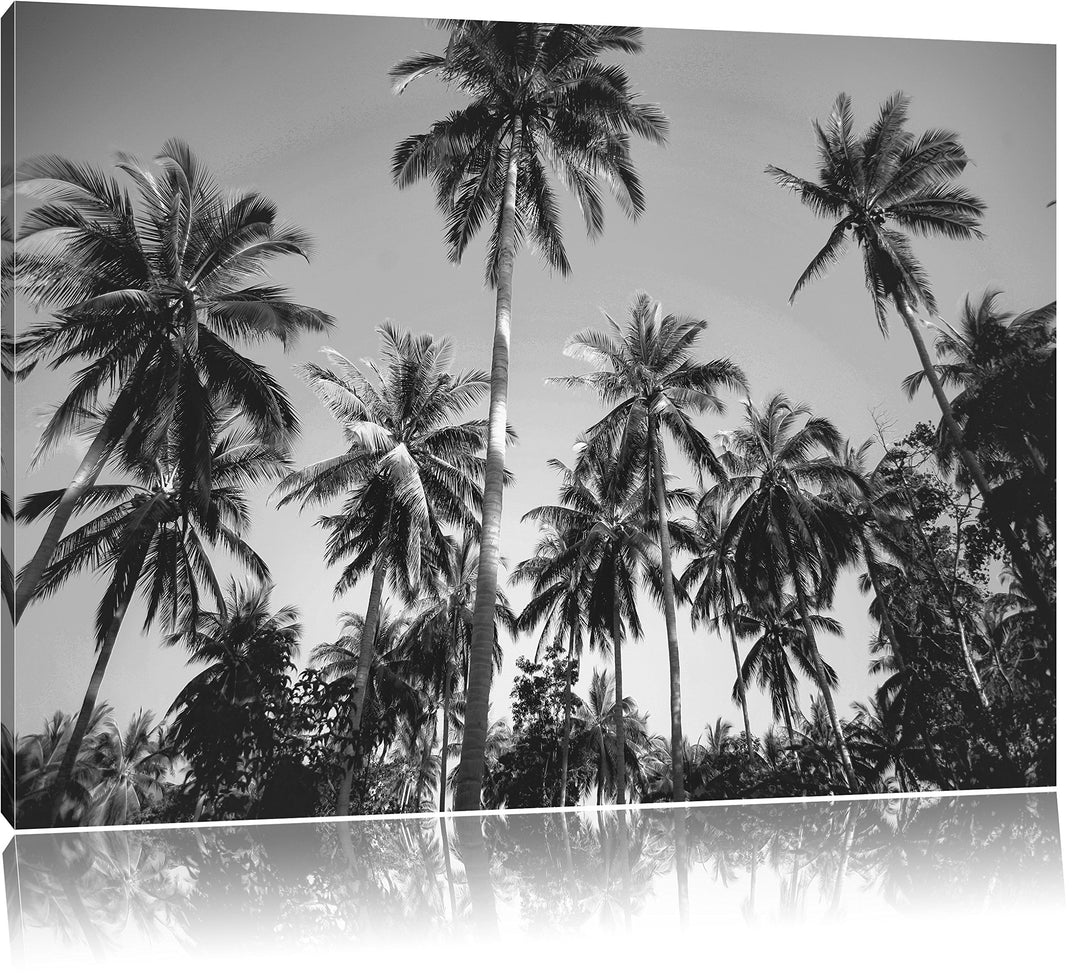 Pixxprint Tropische Palmen Kunst B&W / 100x70cm Leinwandbild bespannt auf Holzrahmen/Wandbild Kunstd