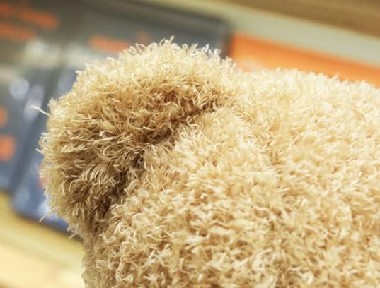TROYSINC Teddybär Weiches Fell Teddybär mit Kapuze Tatzendruck Plüschtier Kuscheltier Stofftier Gesc