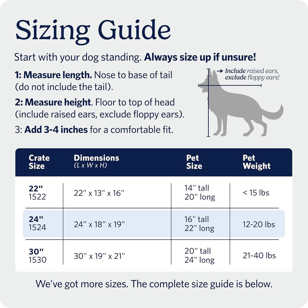 MidWest Homes for Pets iCrate Modell 1524BL Hundebox, ca. 61 cm lang, mit Einzeltür, auslaufsicherer