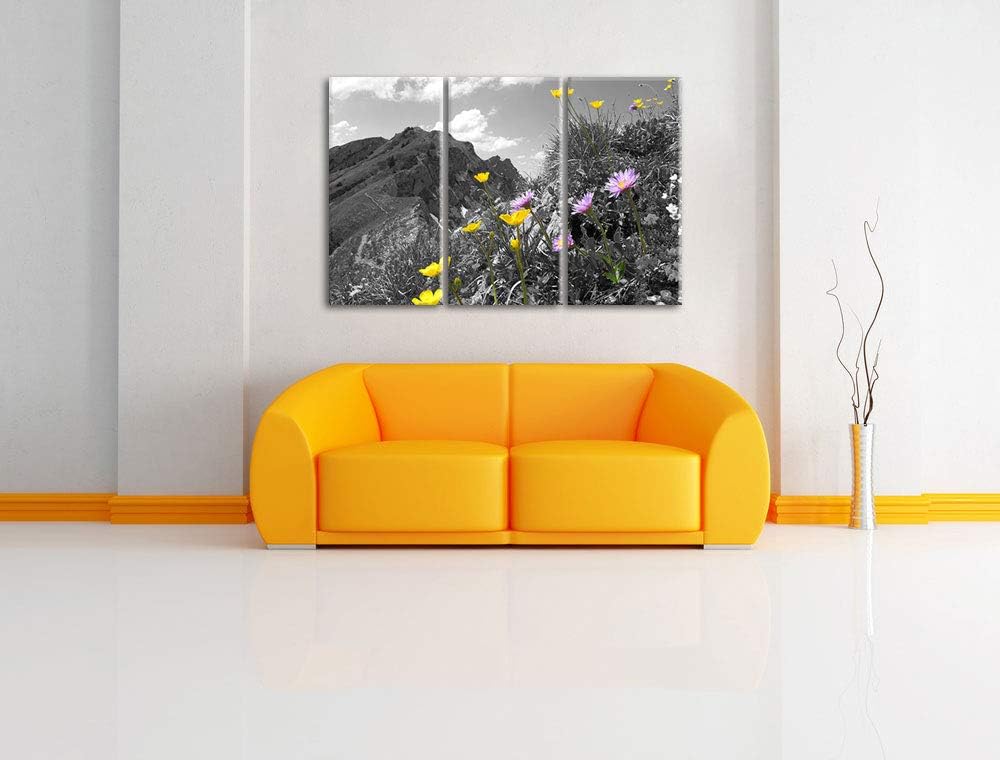 Traumhafte Blumenwiese im Frühling schwarz/weiss 3-Teiler Leinwandbild 120x80 Bild auf Leinwand, XXL
