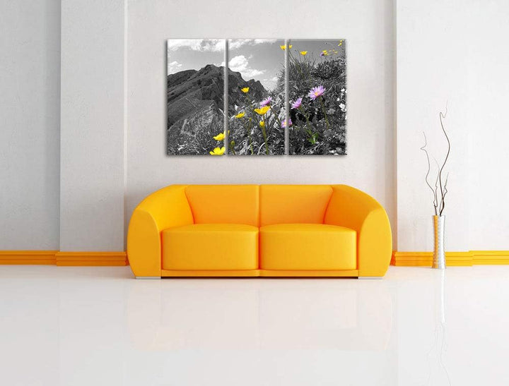 Traumhafte Blumenwiese im Frühling schwarz/weiss 3-Teiler Leinwandbild 120x80 Bild auf Leinwand, XXL