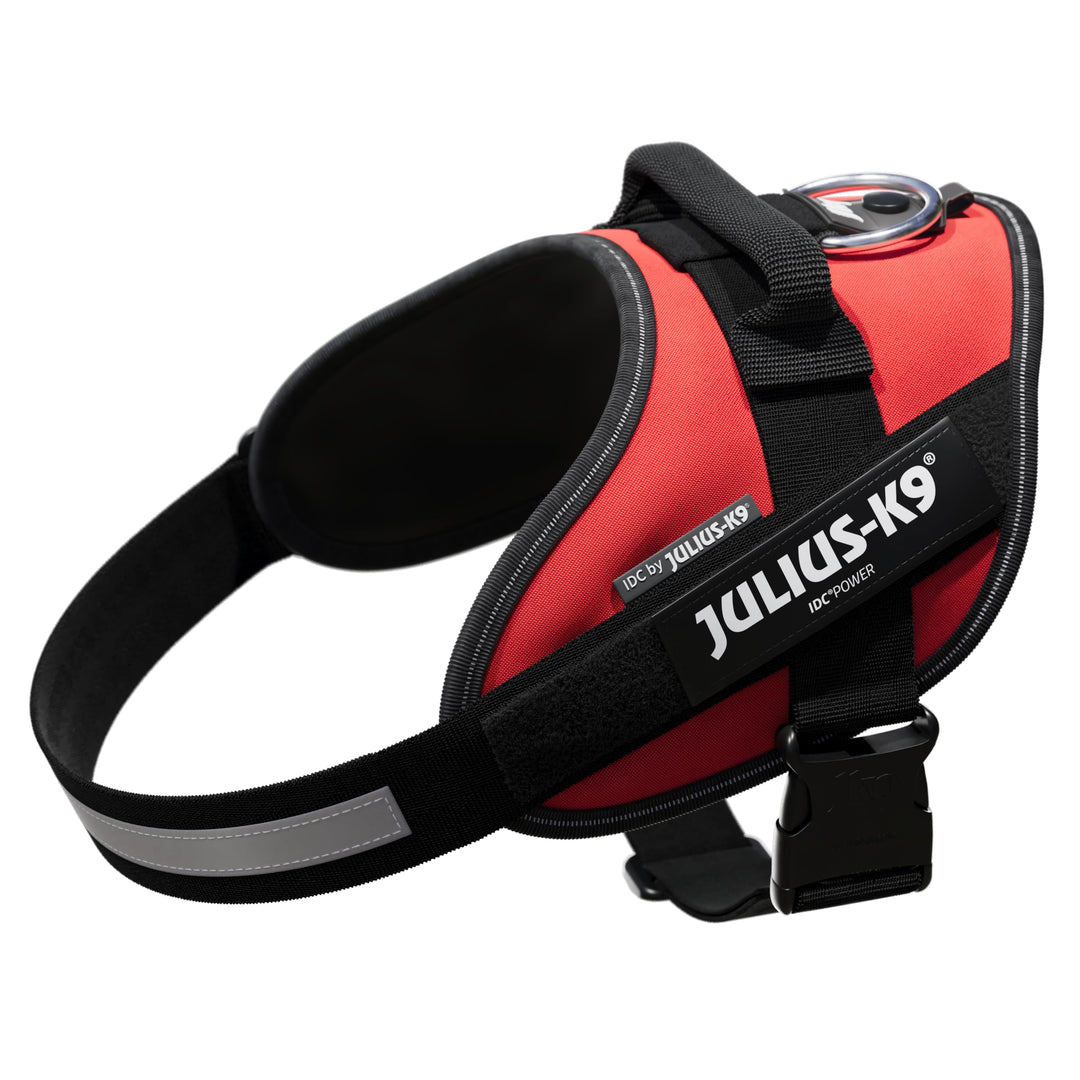 Julius K9 16IDC-R-0 IDC-Powergeschirr mit Logofeld, Gr. 0, rot